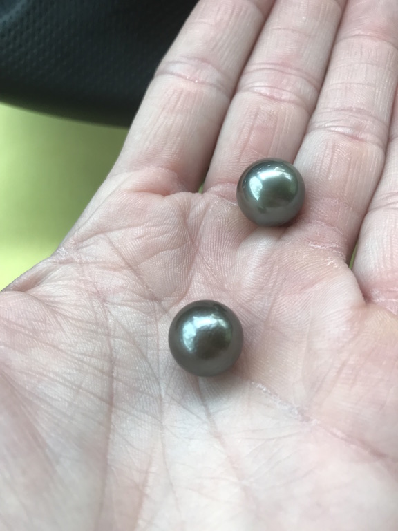 Hand picked Tahitian Black Pearl - The World of Pearl