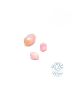 Natural Conch Pearls - The World of Pearl